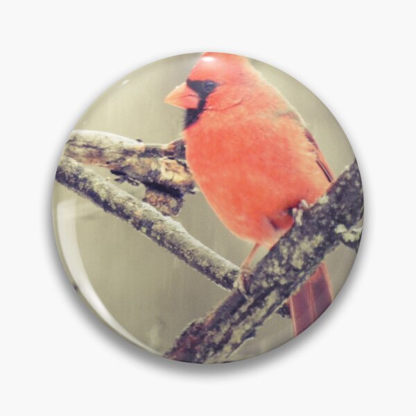 Item preview, Male Cardinal in Winter designed and sold by Uni356.