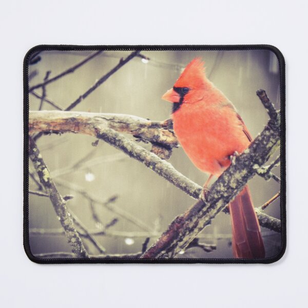 Item preview, Male Cardinal in Winter designed and sold by Uni356.