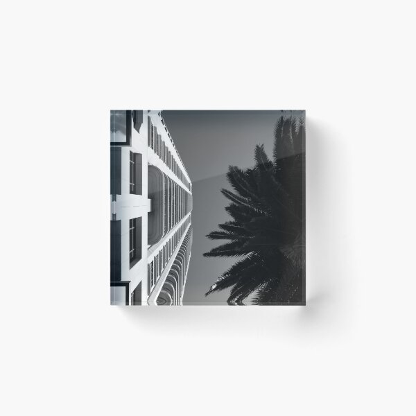 Item preview, Palm tree and office building in Auckland designed and sold by TheNordicDesign.