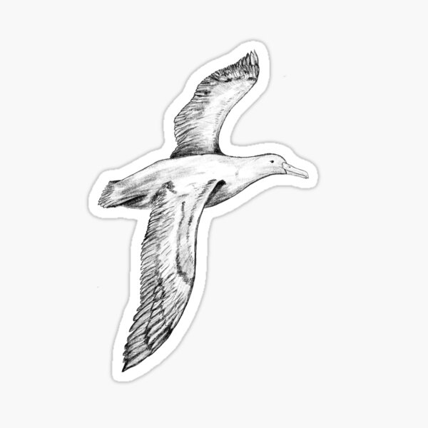 Item preview, Albatross designed and sold by The Curious Cat.