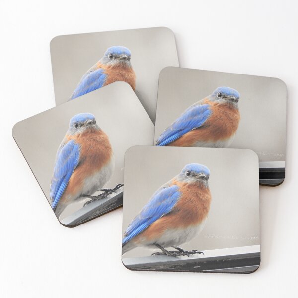 Item preview, Male Eastern Bluebird designed and sold by Uni356.
