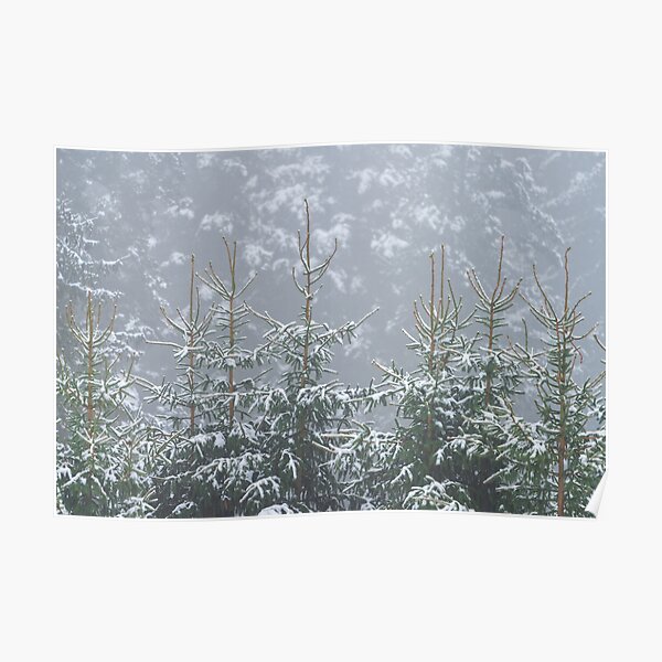 Trees with snow Poster