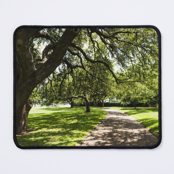 Item preview, Grounds at Mount Vernon, a near (but larger) replica in Dallas, Texas, of George Washington's Virginia estate home designed and sold by OrcaNature.