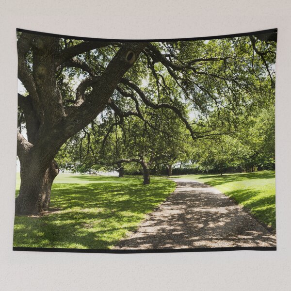 Item preview, Grounds at Mount Vernon, a near (but larger) replica in Dallas, Texas, of George Washington's Virginia estate home designed and sold by OrcaNature.