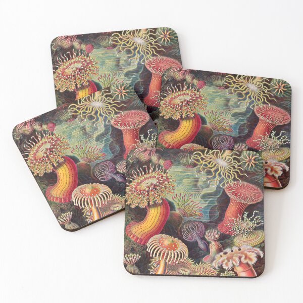 Item preview, Ernst Haeckel - Kunstformen der Natur (1904) Sea Anemone designed and sold by Gin  Neko.
