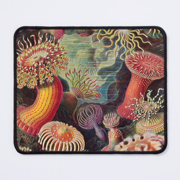 Item preview, Ernst Haeckel - Kunstformen der Natur (1904) Sea Anemone designed and sold by Gin  Neko.