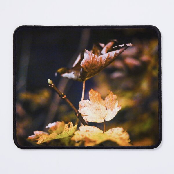 Item preview, Looking - A View designed and sold by Carl Gaynor.