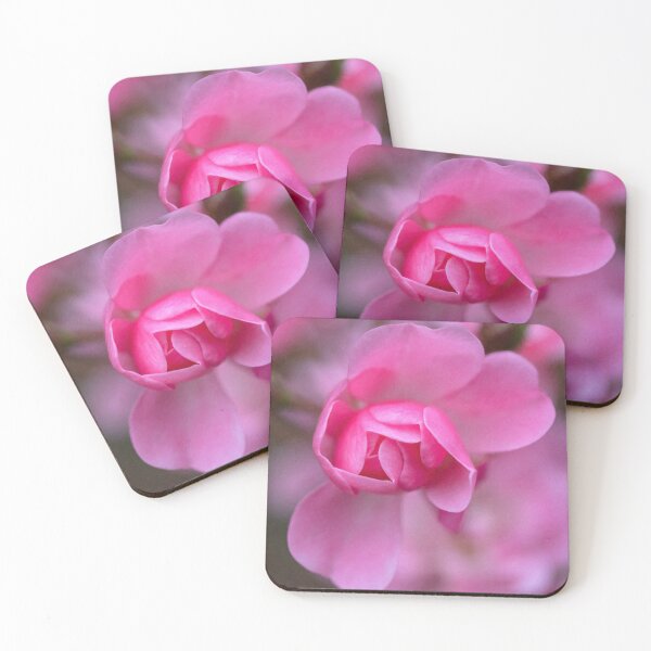 Item preview, bonita rosa rosa designed and sold by Kasia Design.