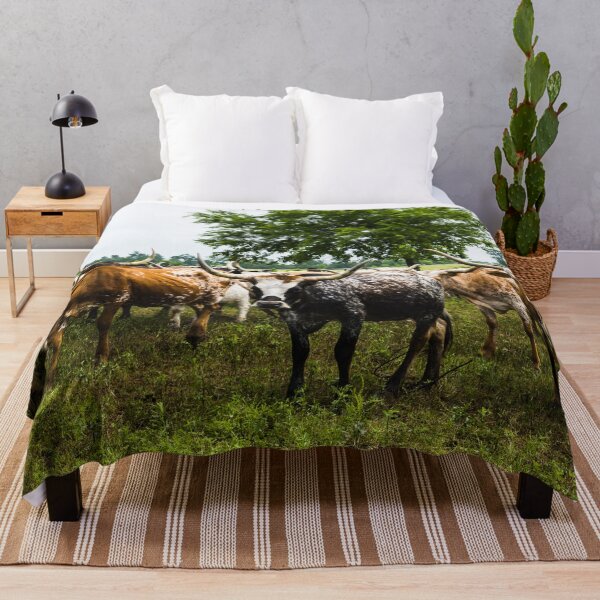 Item preview, Longhorns at the 1,800-acre Lonesome Pine Ranch, a working cattle ranch that is part of the Texas Ranch Life ranch resort near Chappell Hill in Austin County, Texas designed and sold by OrcaNature.