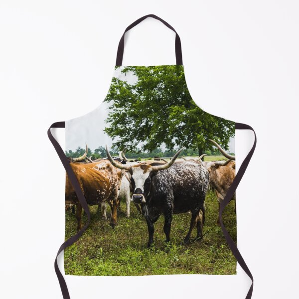 Item preview, Longhorns at the 1,800-acre Lonesome Pine Ranch, a working cattle ranch that is part of the Texas Ranch Life ranch resort near Chappell Hill in Austin County, Texas designed and sold by OrcaNature.