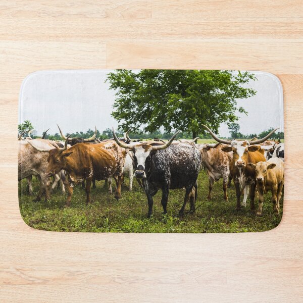 Item preview, Longhorns at the 1,800-acre Lonesome Pine Ranch, a working cattle ranch that is part of the Texas Ranch Life ranch resort near Chappell Hill in Austin County, Texas designed and sold by OrcaNature.