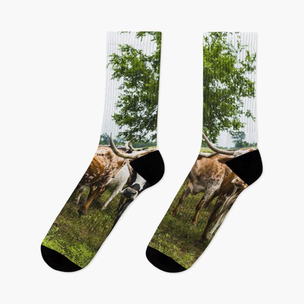 Item preview, Longhorns at the 1,800-acre Lonesome Pine Ranch, a working cattle ranch that is part of the Texas Ranch Life ranch resort near Chappell Hill in Austin County, Texas designed and sold by OrcaNature.