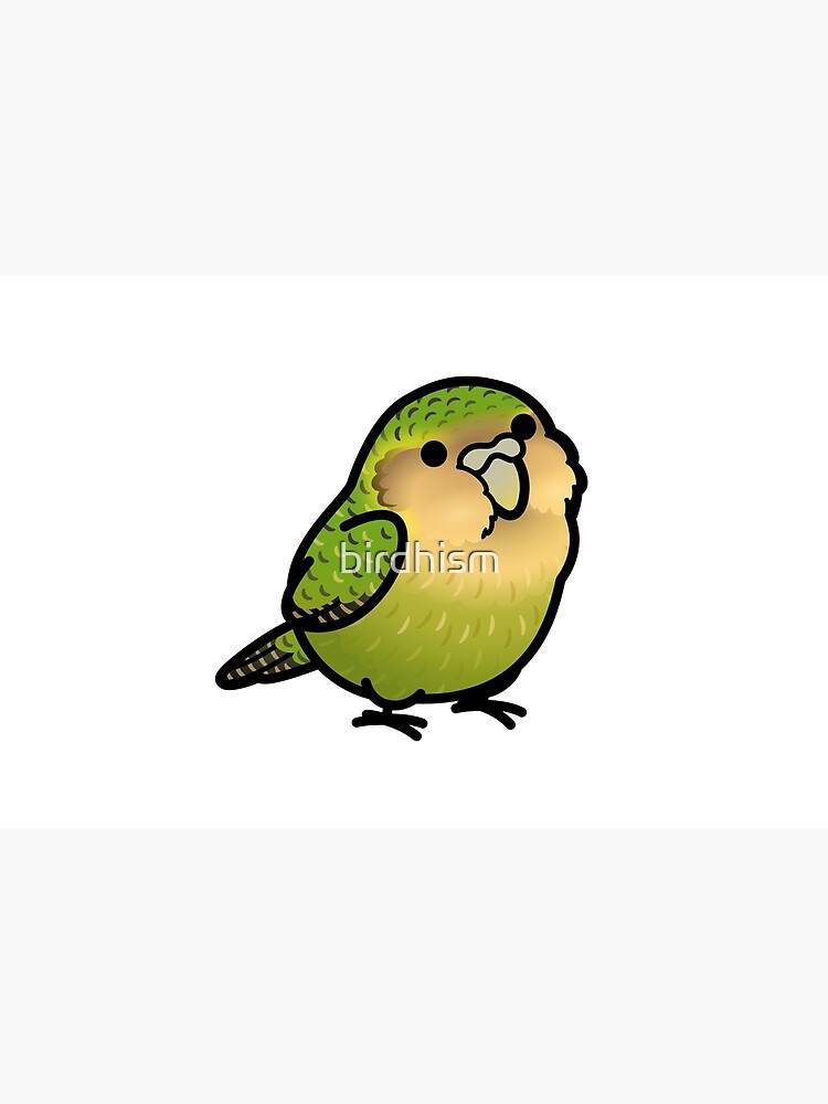 Chubby Kakapo by birdhism