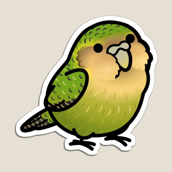 kakapo parrot gif