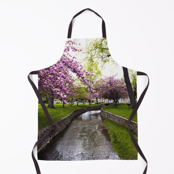Item preview, A small canal at the Berkeley Springs Resort in Berkeley Springs, West Virginia designed and sold by OrcaNature.