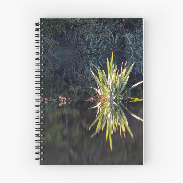 Item preview, Lake Hanlon reflection designed and sold by Charles Kosina.