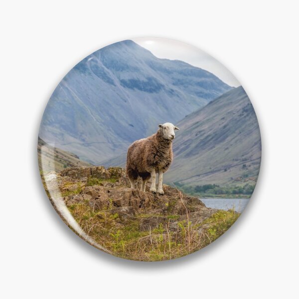 Item preview, Herdwick Sheep and Great Gable designed and sold by derekbeattie.