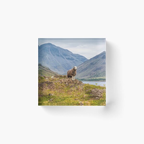 Item preview, Herdwick Sheep and Great Gable designed and sold by derekbeattie.