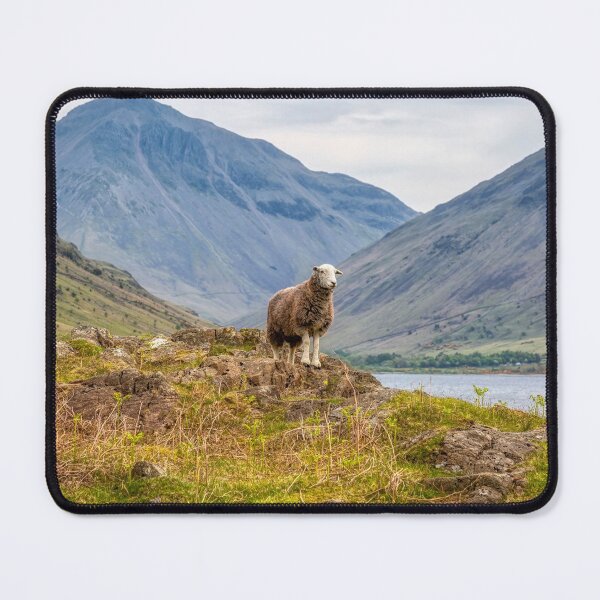Item preview, Herdwick Sheep and Great Gable designed and sold by derekbeattie.