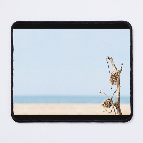 Item preview, Dried Burdock branch on sandy desert and coastline background. designed and sold by IaroslavB.