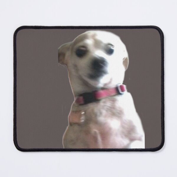 Item preview, Belle is a 4 legged Icon designed and sold by CanIgetanopa.
