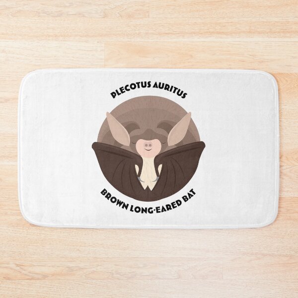 Item preview, Hibernating Brown Long-eared Bat drawing with scientific and English names designed and sold by MarisG.