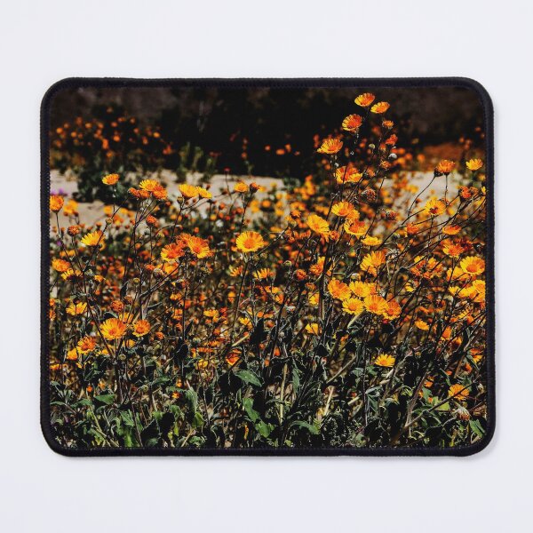 Item preview, Grow and Glow designed and sold by heatherfriedman.