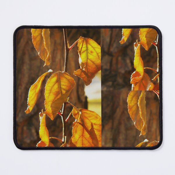 Item preview, Autumn splendor♥ designed and sold by Linda Bianic.