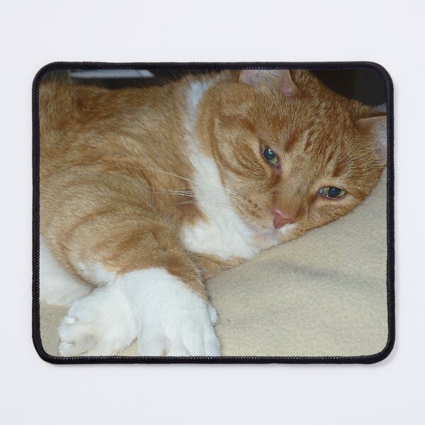 Item preview, Soft and Purry designed and sold by Linda Bianic.