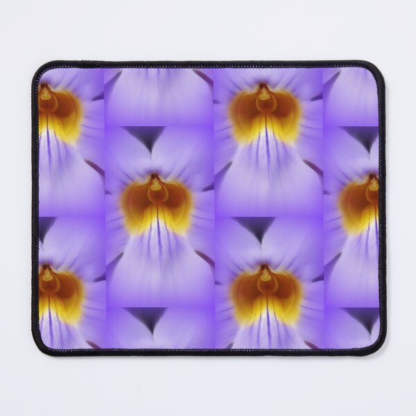 Item preview, Center Stage !! designed and sold by Linda Bianic.