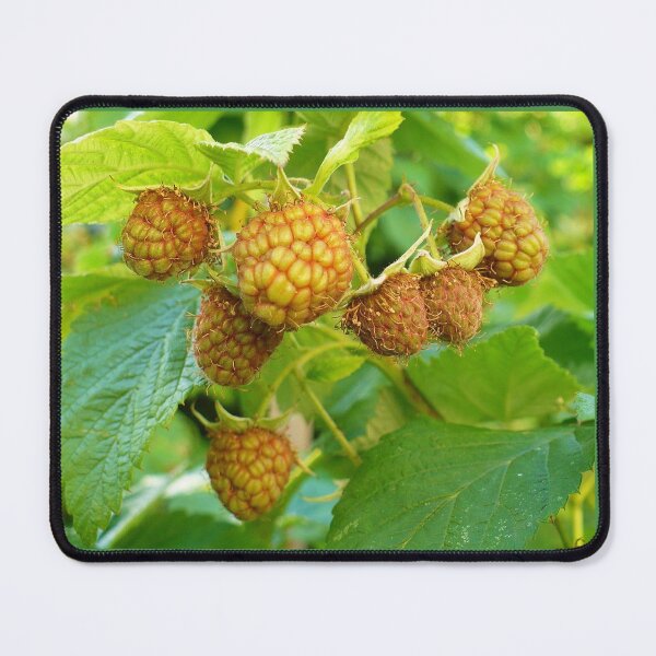 Item preview, Raspberries designed and sold by Linda Bianic.