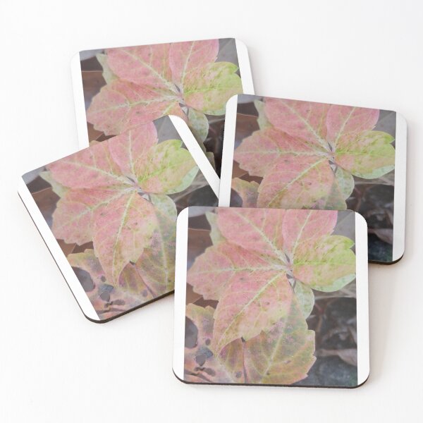 Item preview, Fall Colors on the Virginia Creeper designed and sold by Aqualyn.