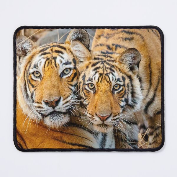 Item preview, Mother tigress and Cub designed and sold by Graham Prentice.