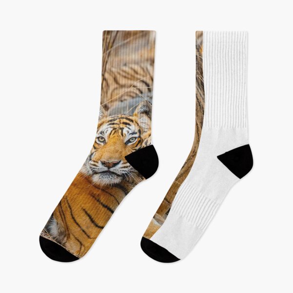 Item preview, Mother tigress and Cub designed and sold by Graham Prentice.