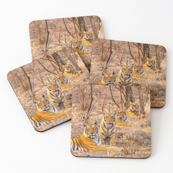 Item preview, Krishna and her Cubs designed and sold by Graham Prentice.