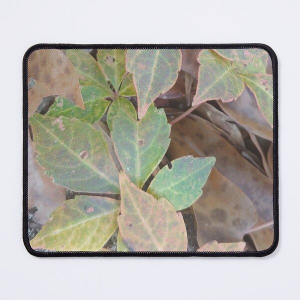Item preview, Fall Creeper Scenery designed and sold by Aqualyn.