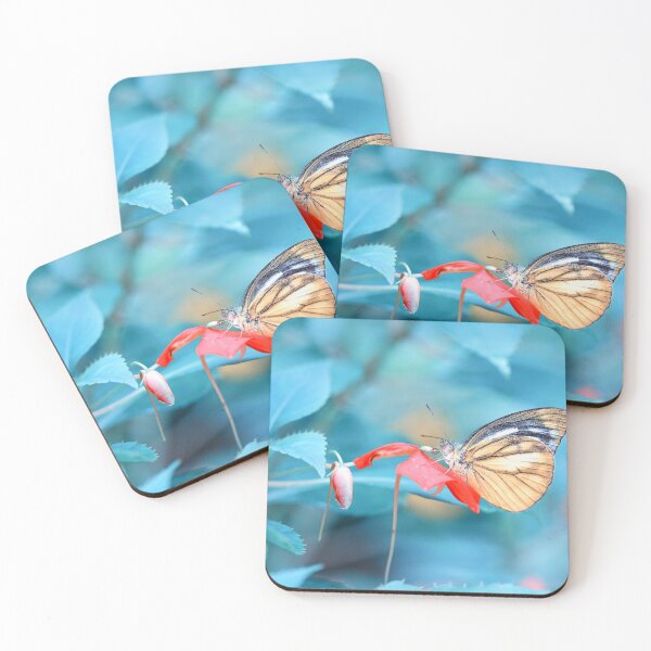 Item preview, Butterfly Lesser Gull designed and sold by sinseeho.