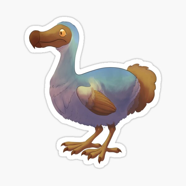 Best Dodo Bird Gift Ideas