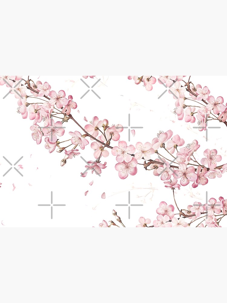 Sakura Cherry Blossom by alexvoss