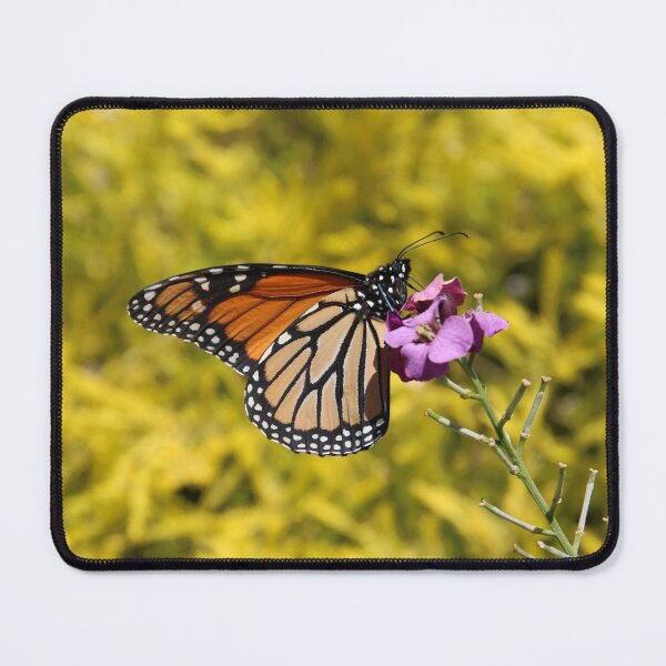 Item preview, It's A Butterfly World designed and sold by Honey Myrtle Studio.