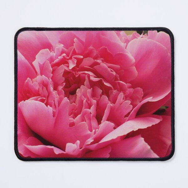 Item preview, Peony Perfection designed and sold by Linda Bianic.
