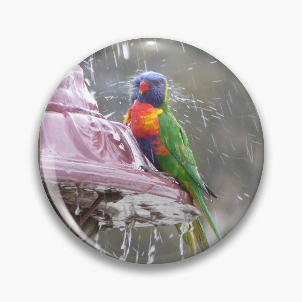Item preview, Lorikeet Afternoon Shower Time designed and sold by Honey Myrtle Studio.
