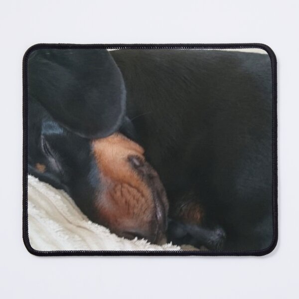 Item preview, Sleeping Dachshund designed and sold by LoriG2020.