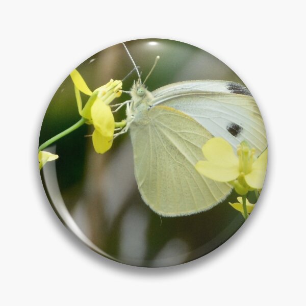Item preview, White-winged soul designed and sold by L Spittall.