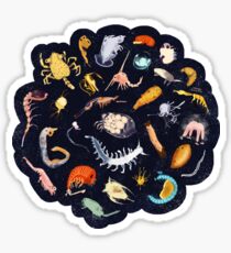 Plankton Sticker