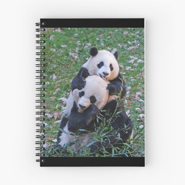 Item preview, Giant Pandas Mei Xiang and Xiao Qi Ji at the National Zoo designed and sold by Zoo and Nature Photography by Karie.