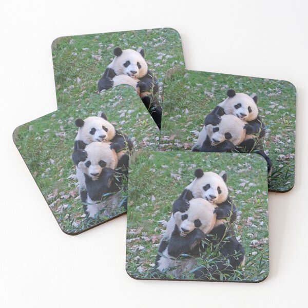 Item preview, Giant Pandas Mei Xiang and Xiao Qi Ji at the National Zoo designed and sold by Zoo and Nature Photography by Karie.