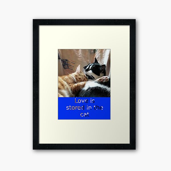 my two cats cuddling Framed Art Print