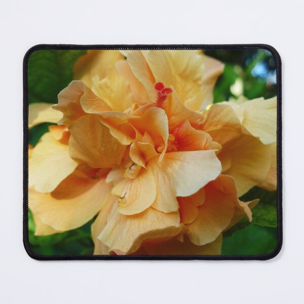 Artikelvorschau, Double Peachy Hibiskus entworfen und verkauft von Linda Bianic.