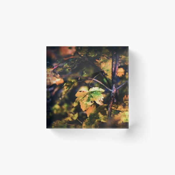 Item preview, Looking - A View  designed and sold by Carl Gaynor.